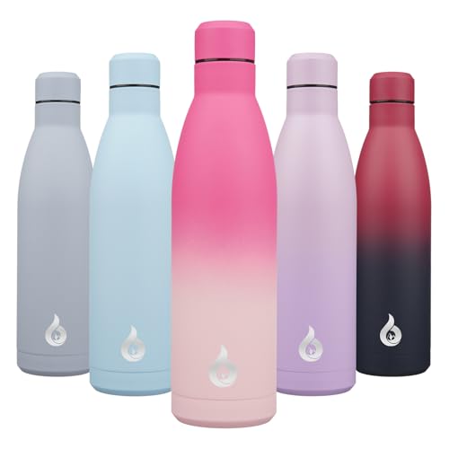 25 oz Insulated Stainless Steel Water Bottle