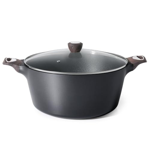 Nonstick Stock Pot with Lid