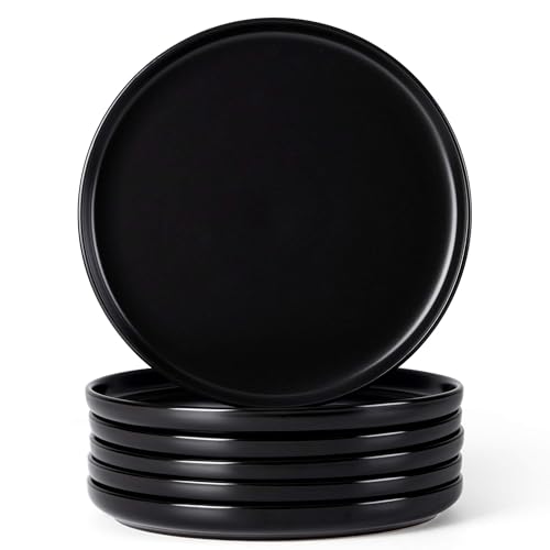 6 Piece Stoneware Dinner Plates Set