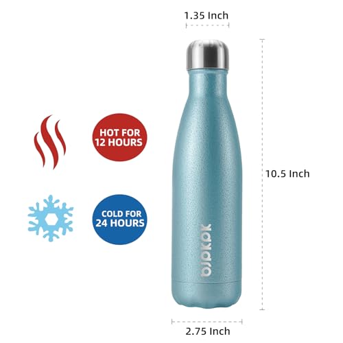 17 oz Small Insulated Water Bottle