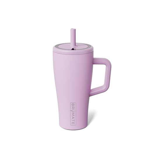 Era 20 oz Tumbler with Handle and Straw