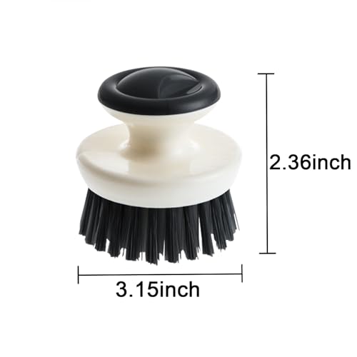 Dish Scrub Brush