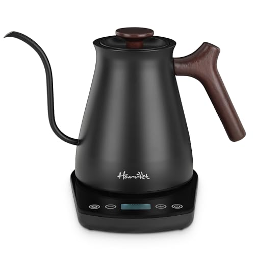 Gooseneck Electric Kettle