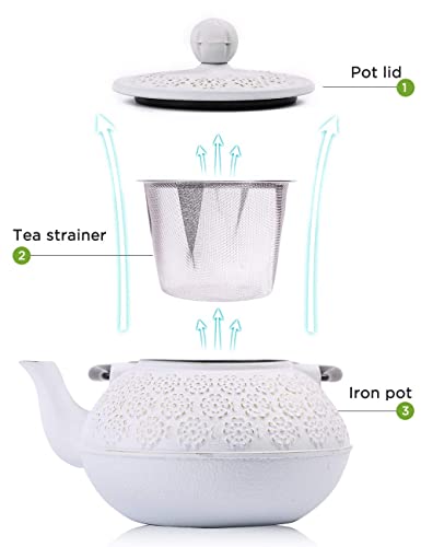 Cast Iron Tea Pot with Infusers for Loose Tea