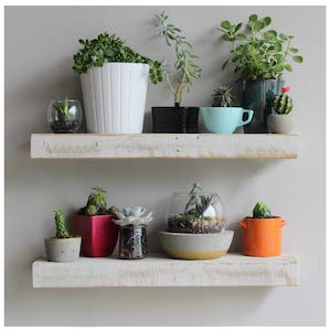 Reclaimed Barnwood Planks (2 Count)