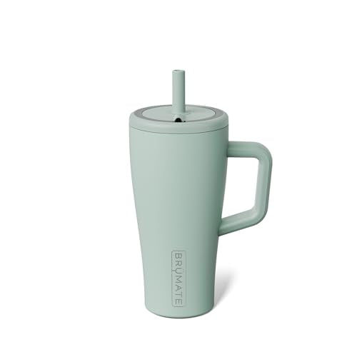 Era 20 oz Tumbler with Handle and Straw