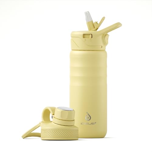 Insulated Stainless Steel Water Bottle with 2 Leak