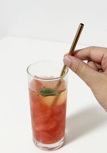 10 Pcs Stainless Steel Straws