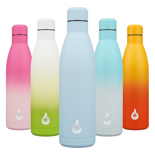 25 oz Insulated Stainless Steel Water Bottle