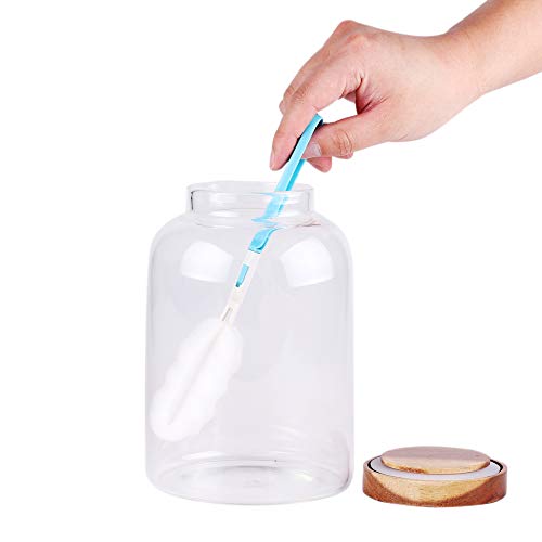 Large Glass Food Canisters