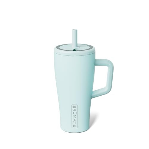 Era 20 oz Tumbler with Handle and Straw