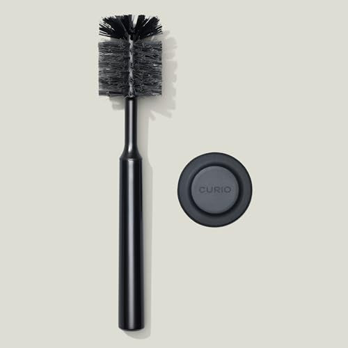 Ionic Bottle Brush