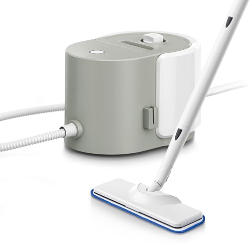 Heavy Duty Steam Cleaner