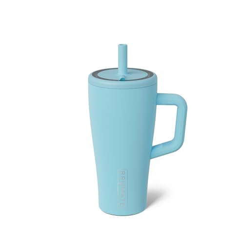 Era 20 oz Tumbler with Handle and Straw