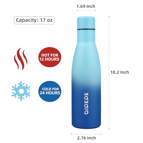 17oz Skinny Insulated Water Bottle