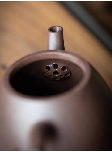 200cc chinese Yixing Handmade Zisha Tian Qing Clay Tian Qing Ni teapot "Qin Quan" Gongfu Teapot tea pot teaworldsupply