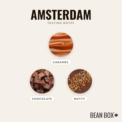 Amsterdam Roasted by Joe Coffee Company (80 Ounce)