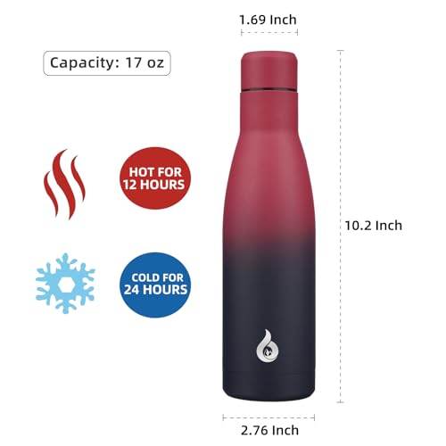 17 oz Insulated Thermal Metal Water Bottle