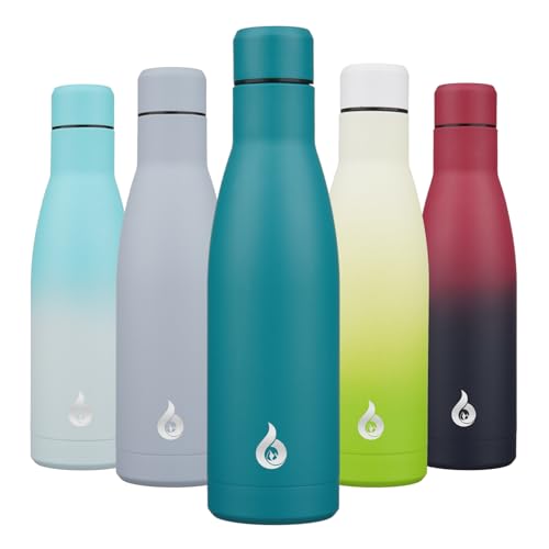 17 oz Insulated Thermal Metal Water Bottle
