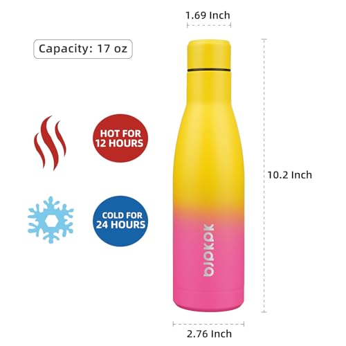 17oz Skinny Insulated Water Bottle