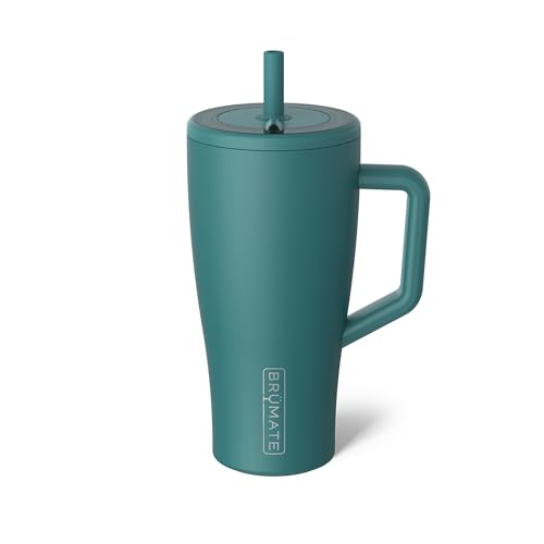Era 30 oz Tumbler with Handle and Straw (4 Count)