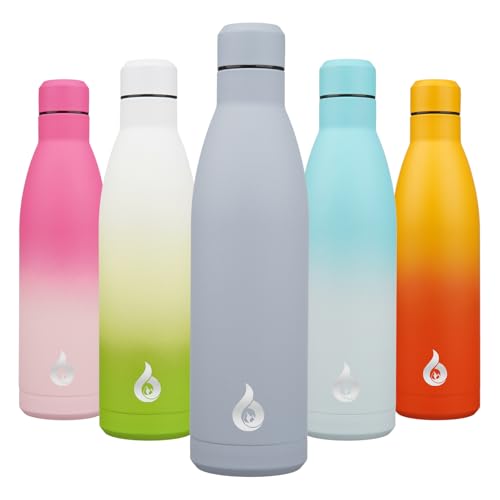 25 oz Insulated Stainless Steel Water Bottle