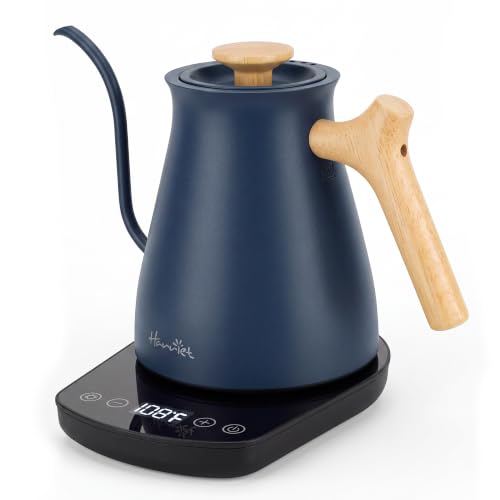 Gooseneck Electric Kettle