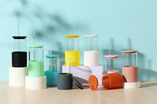 Glass Tumbler with Straw and Lid