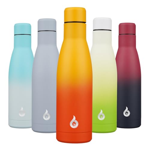 17 oz Insulated Thermal Metal Water Bottle