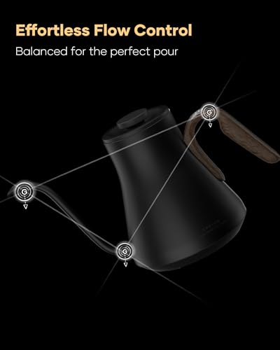 Gooseneck Electric Kettle