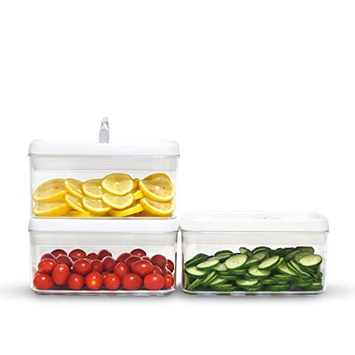 Flip Tite Food Storage Container with Lid 4” RECTANGLE Airtight Ring Flip Lock Top (3 Count)