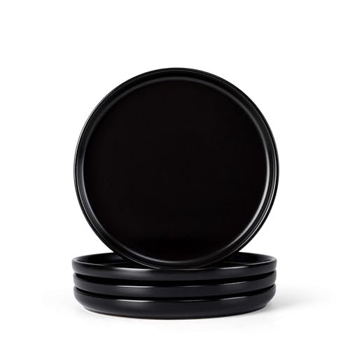 4 Piece Stoneware Small Dinner Plates Set
