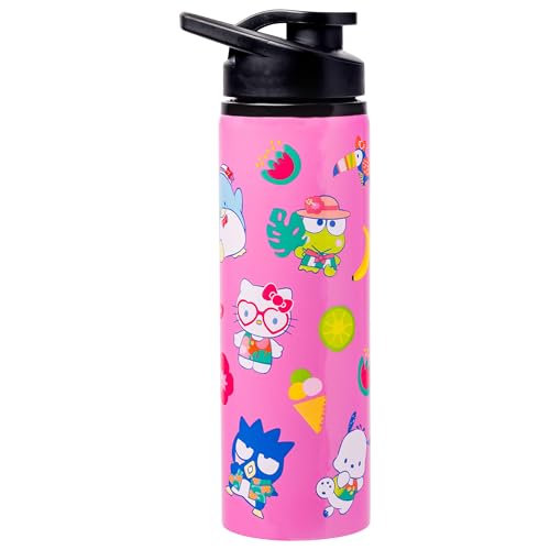 Sanrio Hello Kitty and Friends