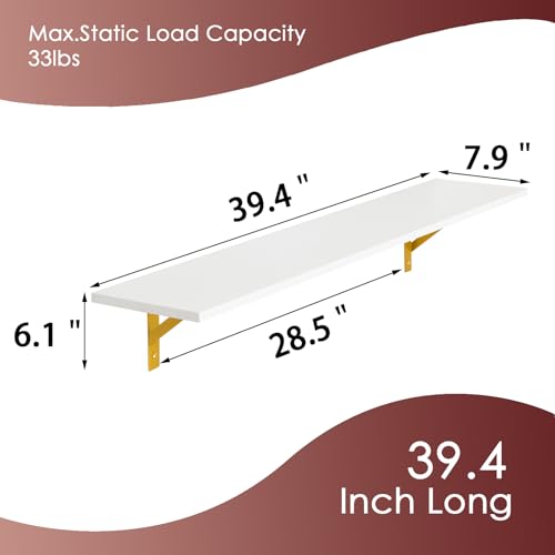 Long Wall Shelves (4 Count)