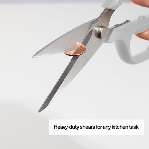 Heavy Duty Kitchen Shears
