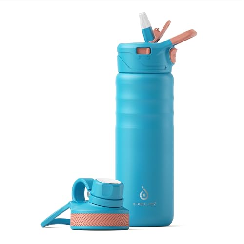 24oz Stainless Insulated Bottle with 2 Leak