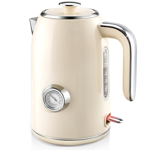 Electric Kettle