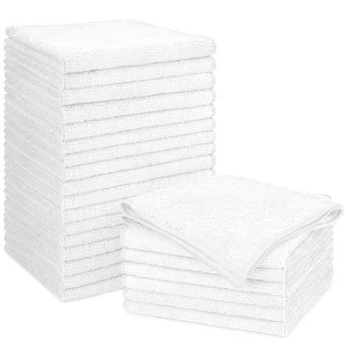 Microfiber Cleaning Cloth (24 Count)