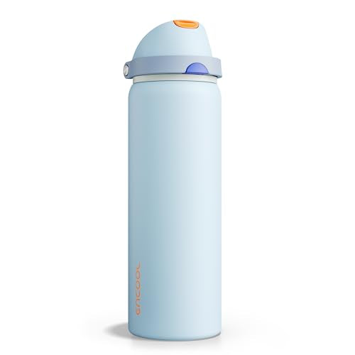 Insulated Water Bottle with Straw Stainless Steel Water Bottle with Push Button Lid