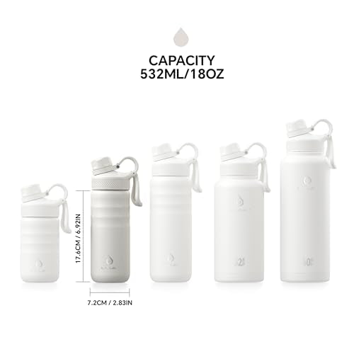18oz Stainless Steel Insulated Bottle with 2 Leak
