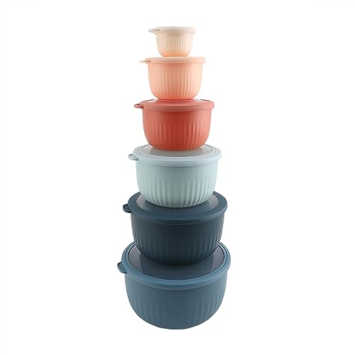 Prep Bowls with Lids