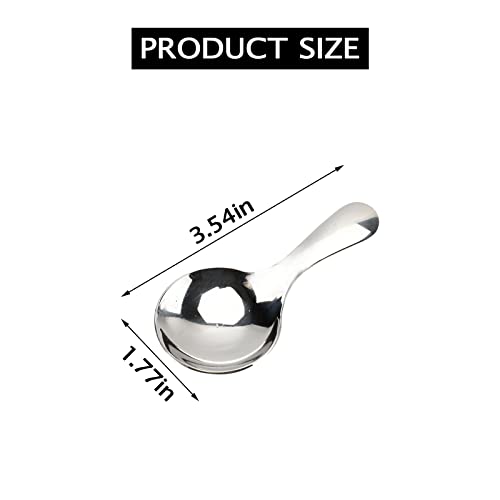 6 Piece Small Stainless Steel Spice Spoons (6 Count)