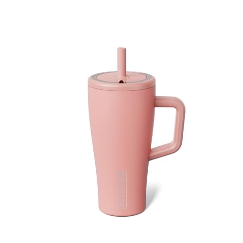 Era 20 oz Tumbler with Handle and Straw