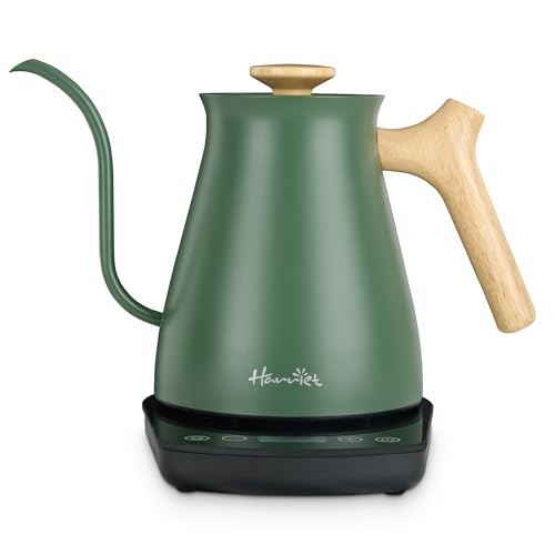 Gooseneck Electric Kettle