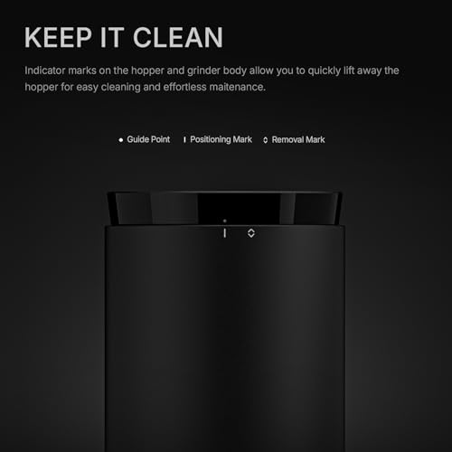 Burr Coffee Grinder
