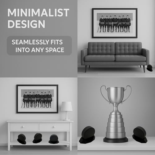 Hockey Puck Display Stand