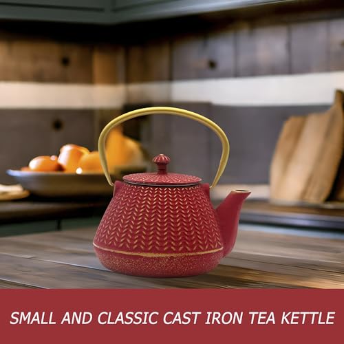Small Cast Iron Tea Kettle for Stovetop Safe