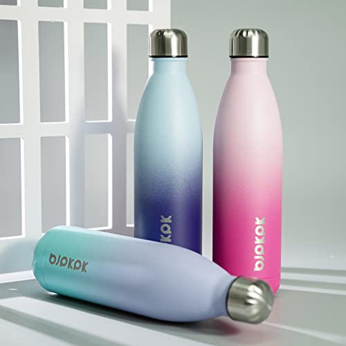 25 oz Insulated Water Bottle