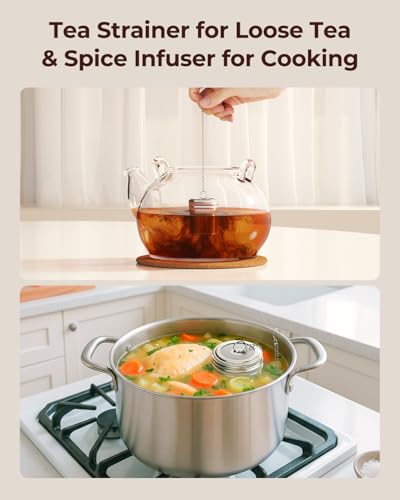 2 Pack Reinmoson Large Tea Infuser for Loose Tea & Spice Ball for Cooking (2 Count)