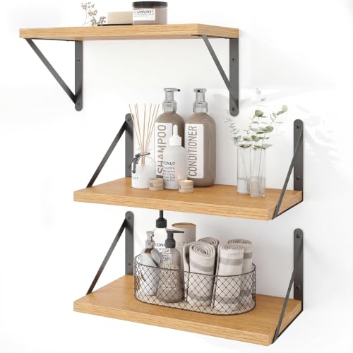 Floating Book Shelves for Wall (3 Count)
